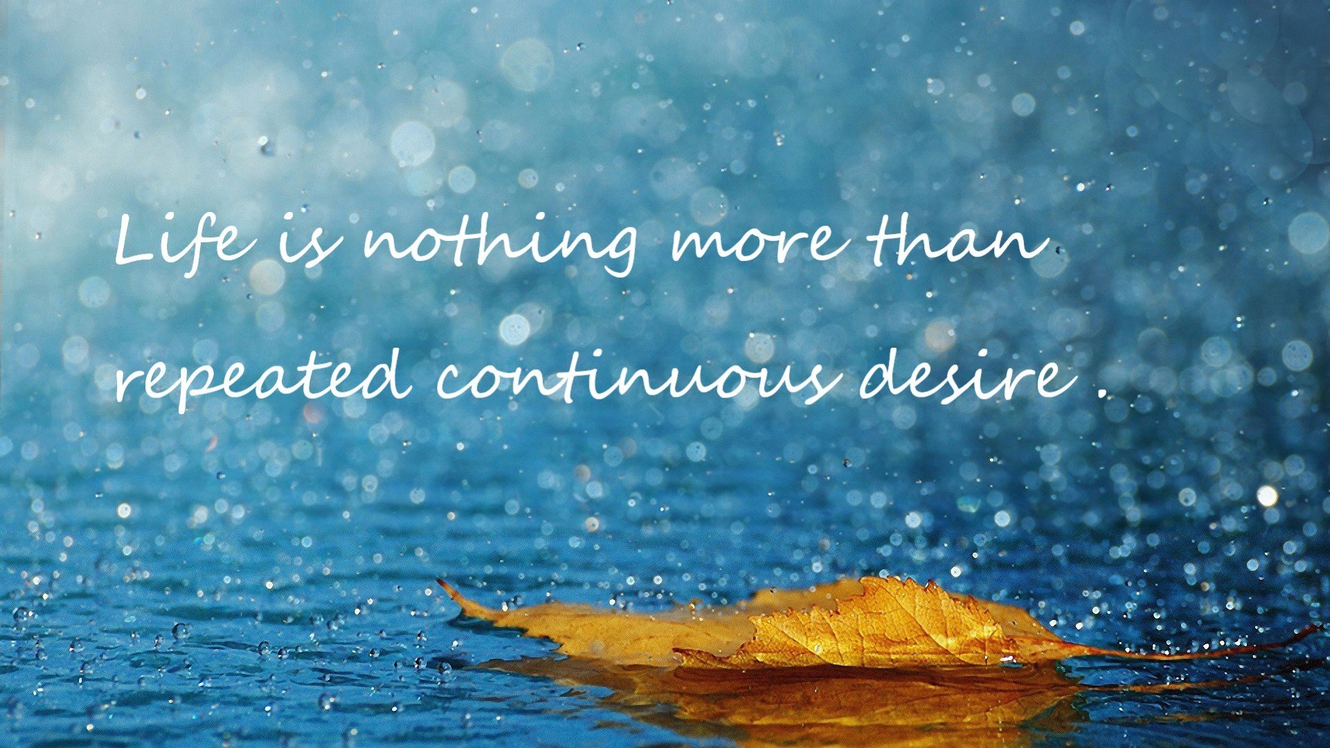 九游APP官网-青岛男篮球队阵容深度增加，青岛男篮大名单