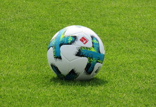 九游登录入口-德甲防守战术转变对定位球防守效果的影响分析，德国足球防守大师