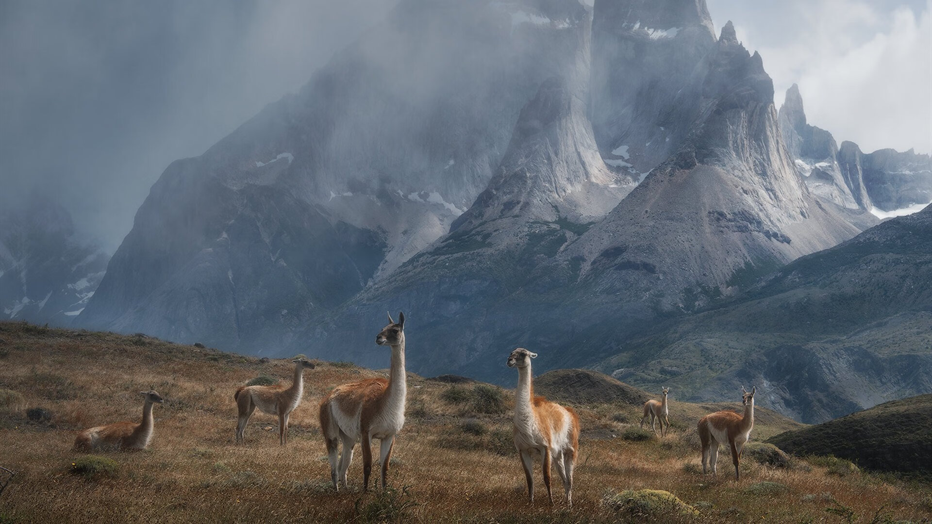 围棋世界冠军柯洁宣布暂别赛场,围棋世界冠军柯洁宣布暂别赛场