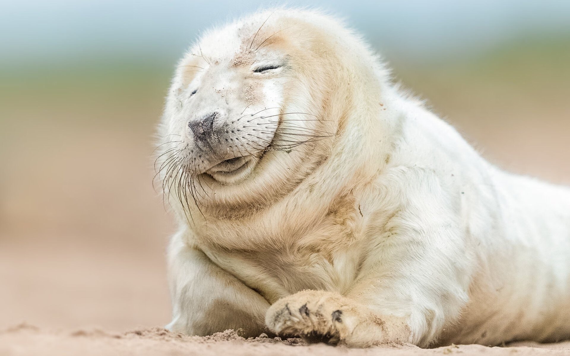 男子羽毛球世界排名中国选手重返前三，男子羽毛球中国排名榜