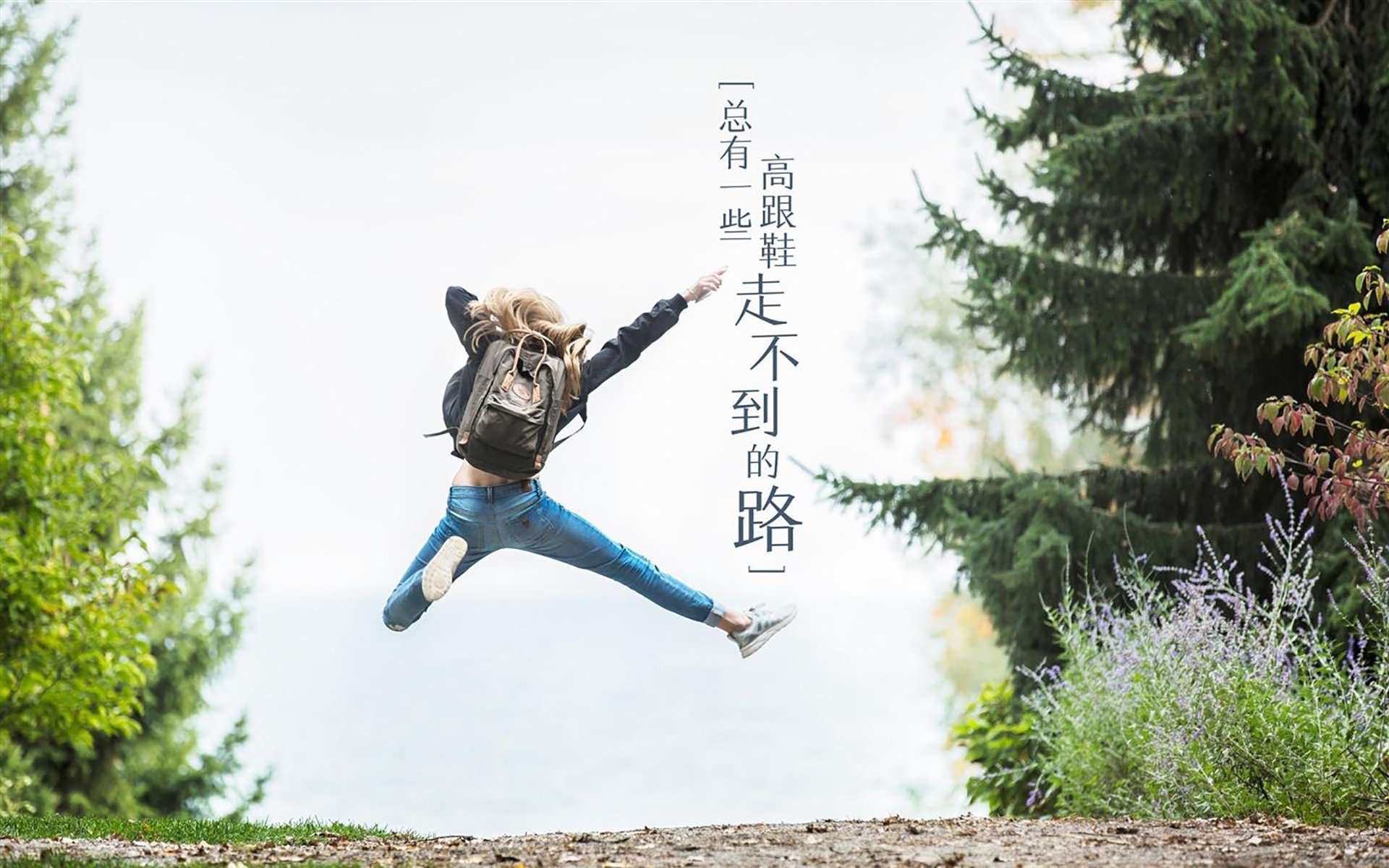 美洲杯激情时刻：英雄辈出，奇迹不断，美洲杯比赛视频录像