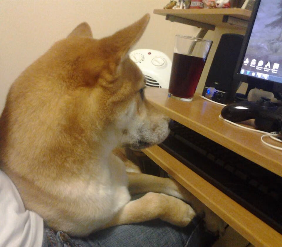 九游娱乐-霍勒迪表示团队默契牵动比赛走势，霍勒迪十佳球