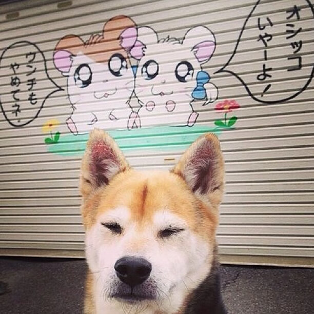 青少年足球裁判员培训体系不断完善，提升裁判执法水平，少儿足球裁判训练营