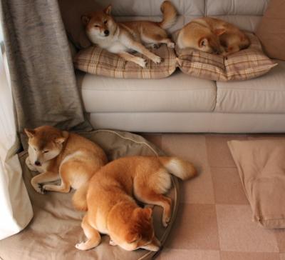 九游游戏中心-马克西姆·格鲁塞决赛发挥超出预期，马克西姆和海格