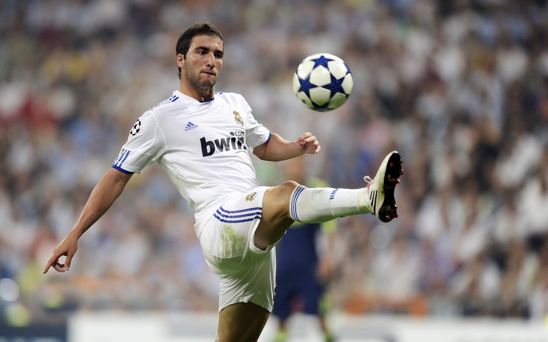 Jiuyou-加拿大队未来发展的关键:加强国际赛事中的应变能力,加拿大战队